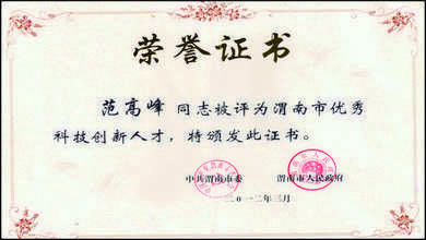 陜西德力能源科技有限責任公司范德力鍋爐